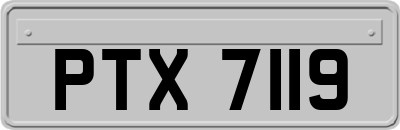 PTX7119