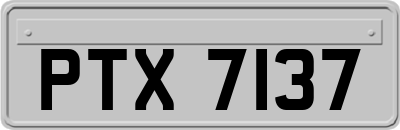 PTX7137