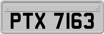 PTX7163