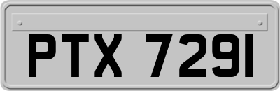 PTX7291