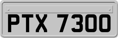 PTX7300