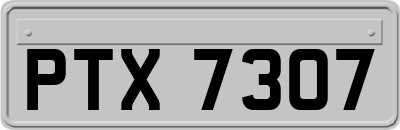 PTX7307