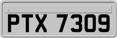 PTX7309