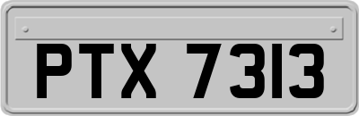 PTX7313