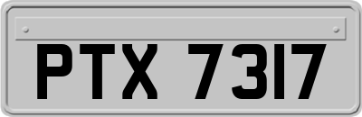 PTX7317