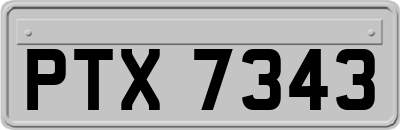 PTX7343