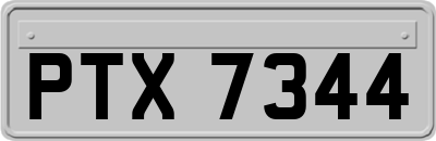 PTX7344