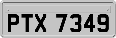 PTX7349