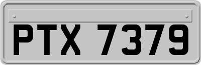 PTX7379