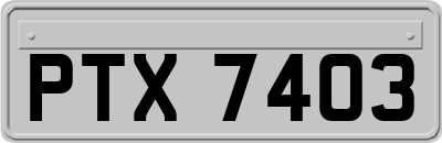 PTX7403