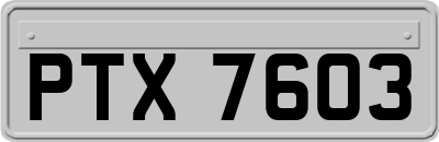 PTX7603