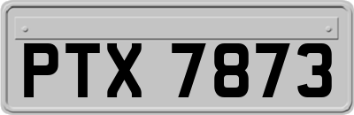 PTX7873