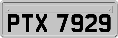 PTX7929