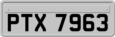 PTX7963