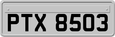 PTX8503