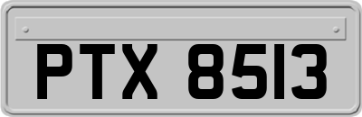 PTX8513