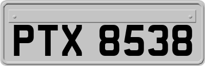 PTX8538