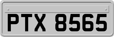 PTX8565