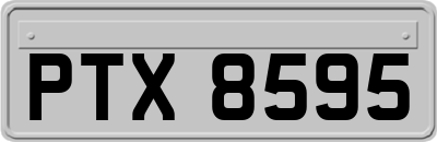 PTX8595