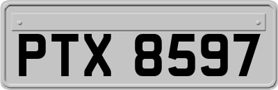 PTX8597