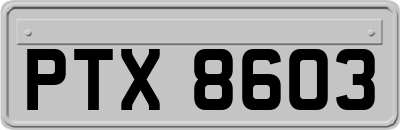 PTX8603