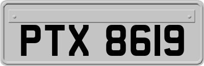 PTX8619