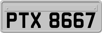 PTX8667