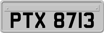 PTX8713