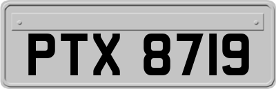 PTX8719