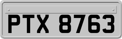 PTX8763