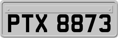 PTX8873