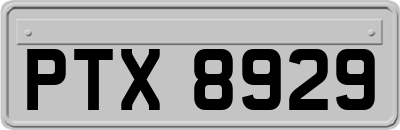 PTX8929