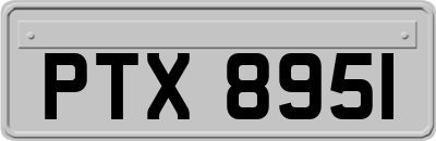 PTX8951