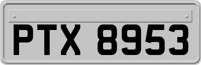 PTX8953