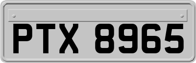 PTX8965