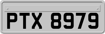 PTX8979