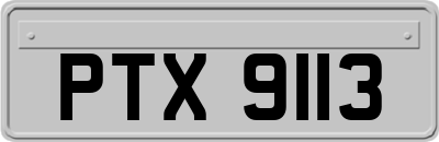 PTX9113