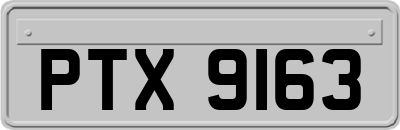 PTX9163