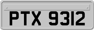 PTX9312