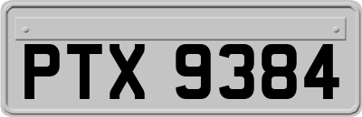 PTX9384