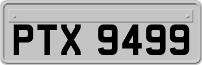 PTX9499