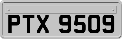 PTX9509