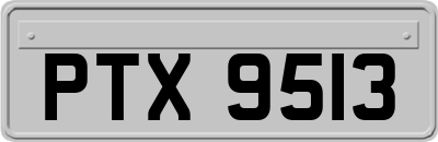 PTX9513