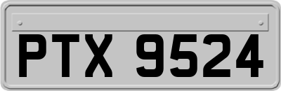 PTX9524