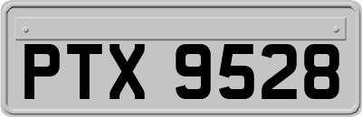 PTX9528