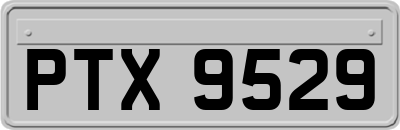 PTX9529