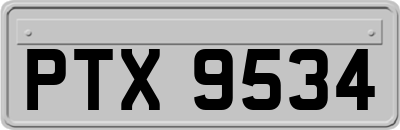 PTX9534