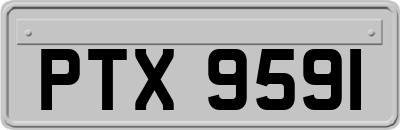 PTX9591