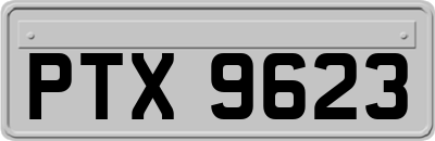 PTX9623