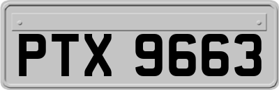 PTX9663